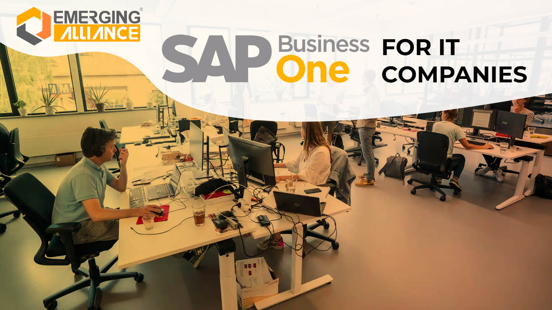 sap business one for IT companies