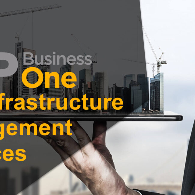 sap business one for infrastructure management services