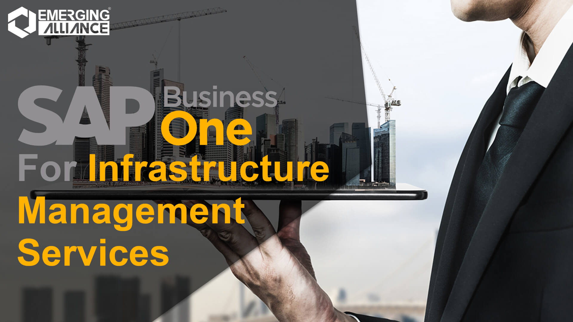 sap business one for infrastructure management services