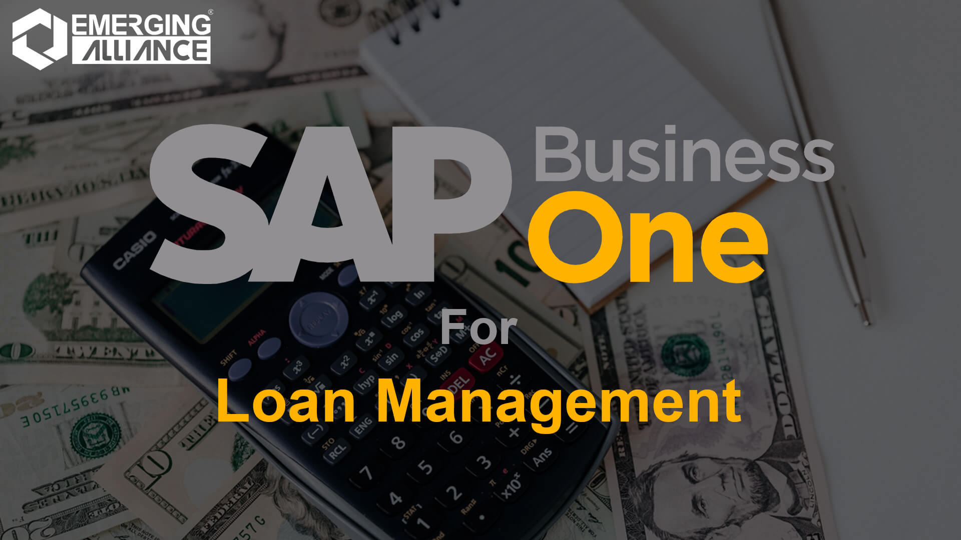 sap business one for loan management