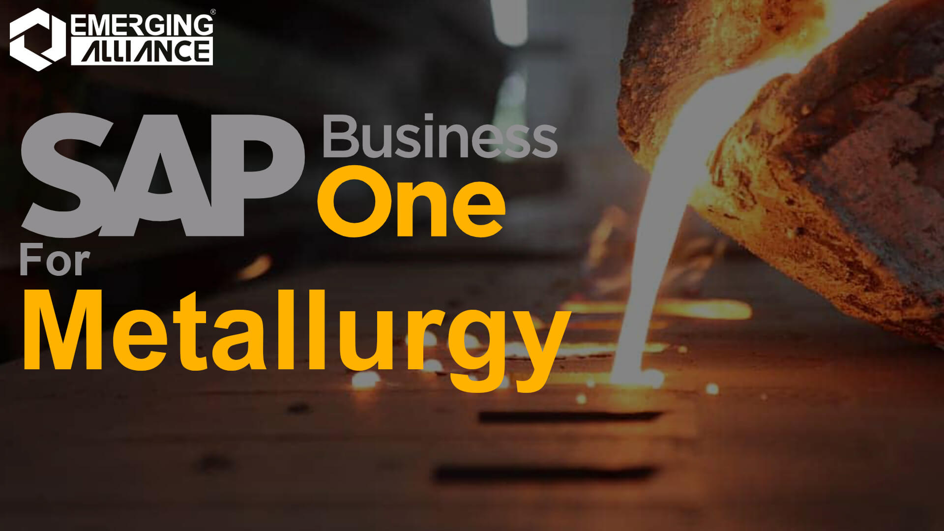 SAP Business One for Metallurgy