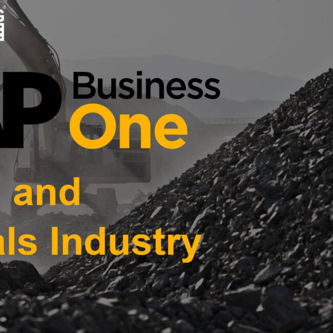 sap business one for metals and minerals industry