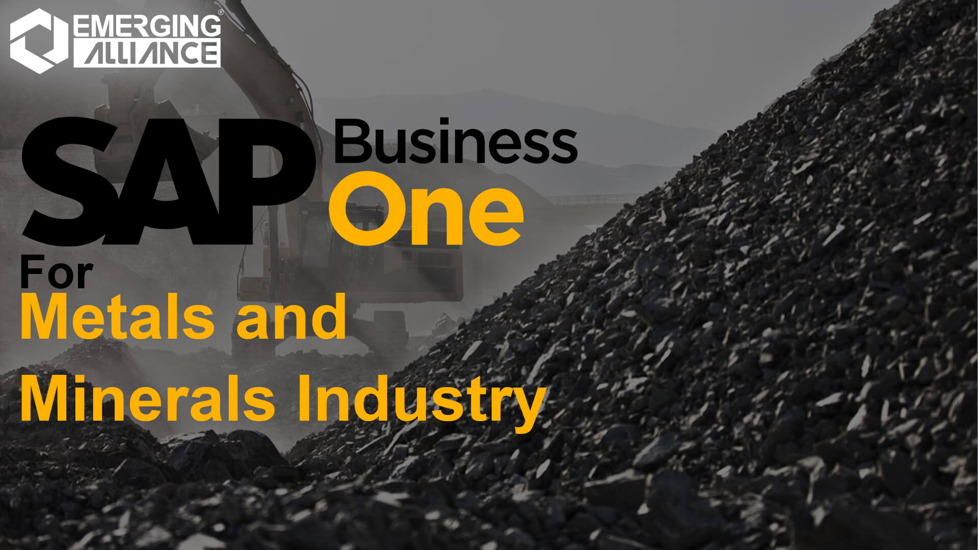 sap business one for metals and minerals industry