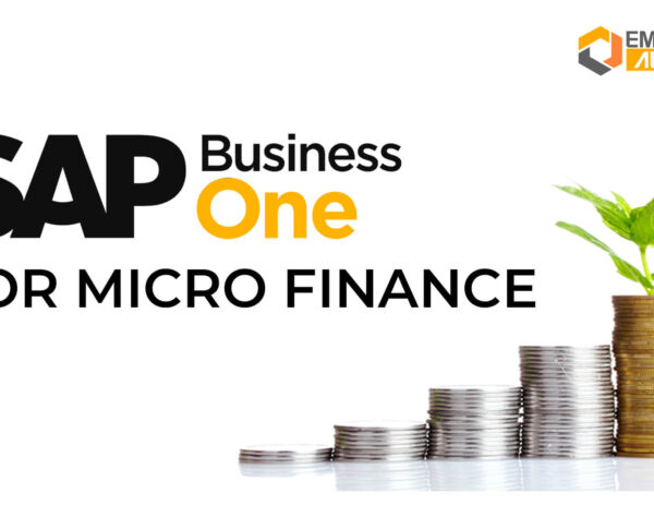 sap business one for micro finance