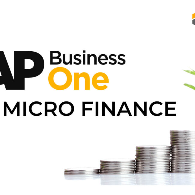 SAP Business One for micro finance