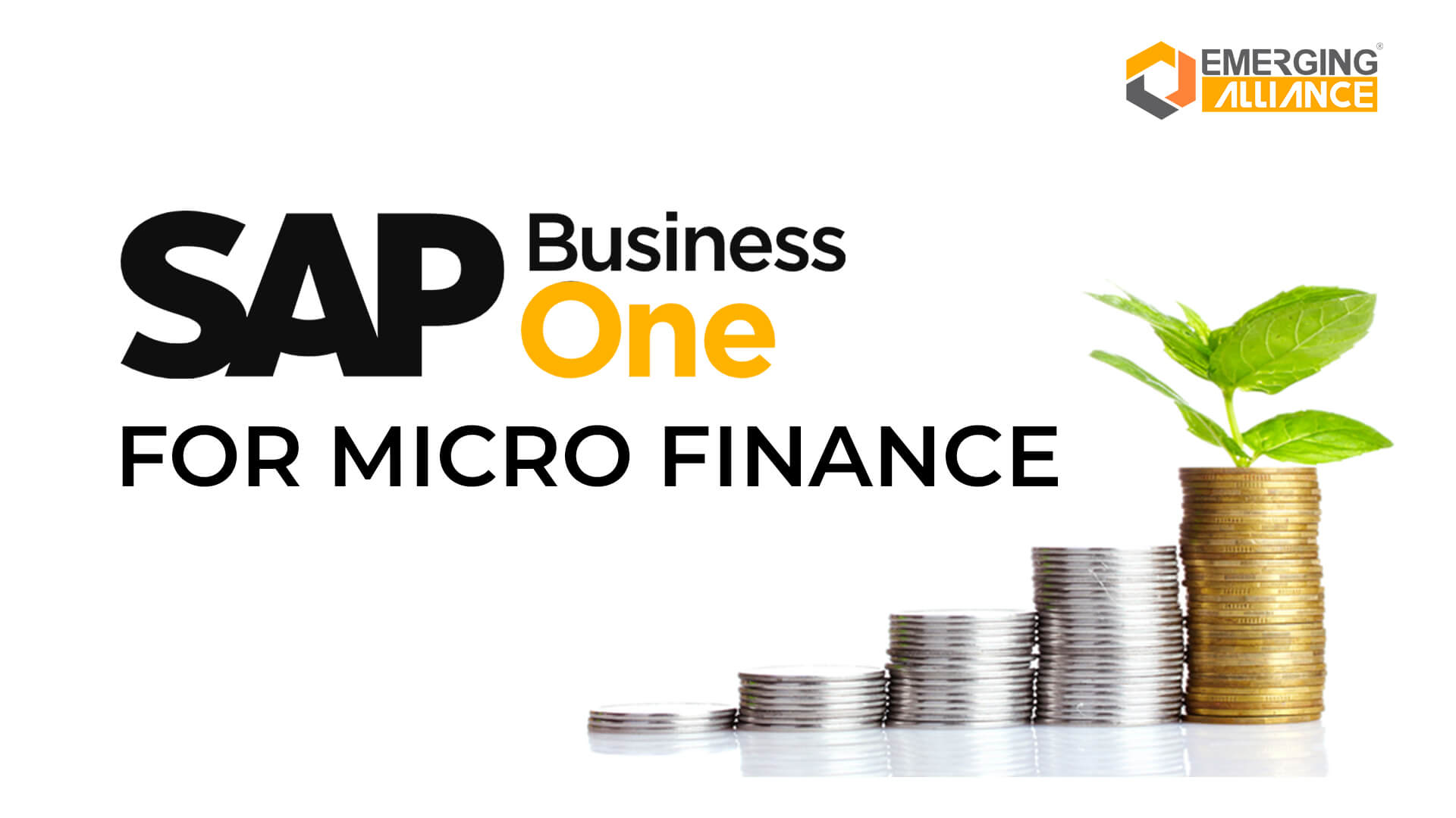 sap business one for micro finance