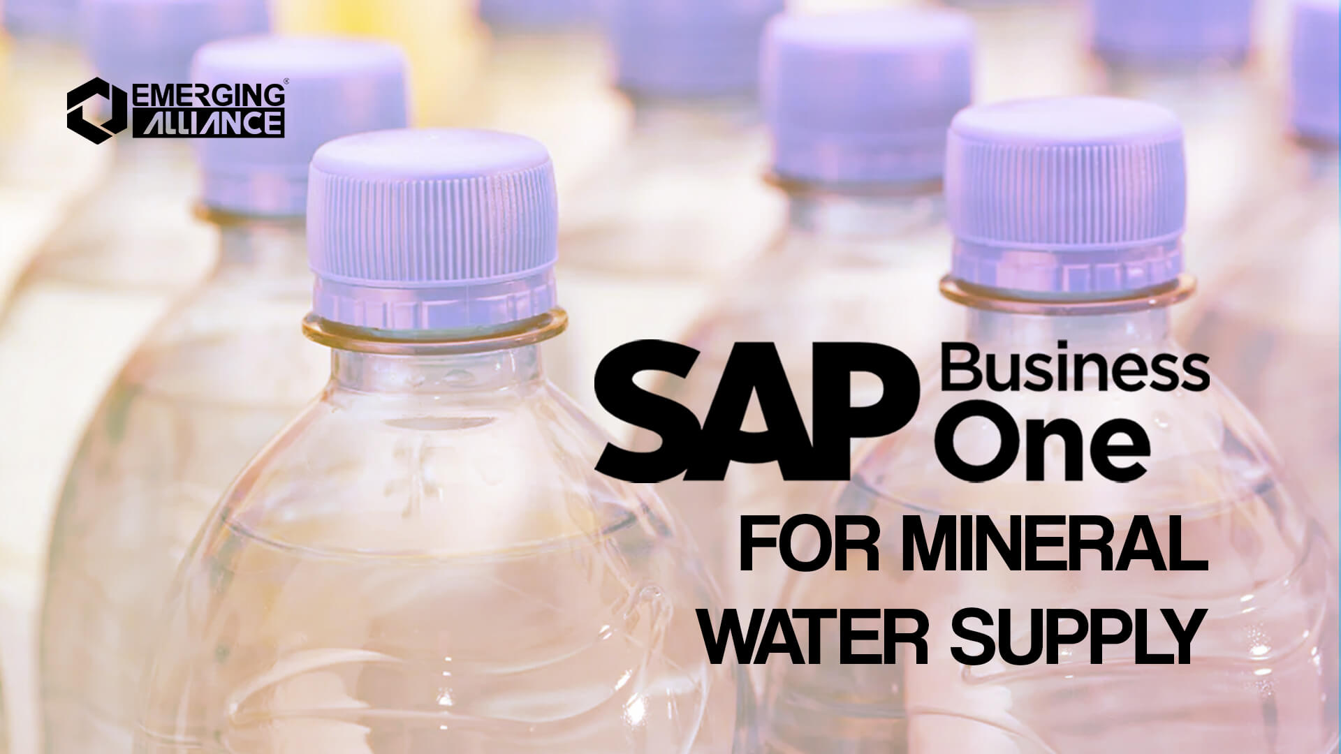 sap business one for mineral water supply