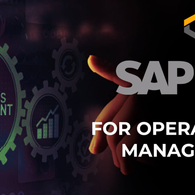 sap business one for operations management