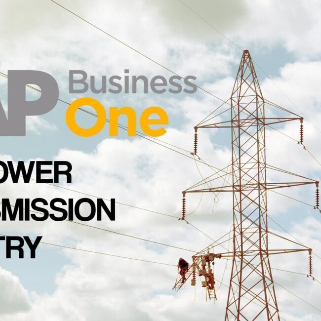 sap business one for power transmission industry