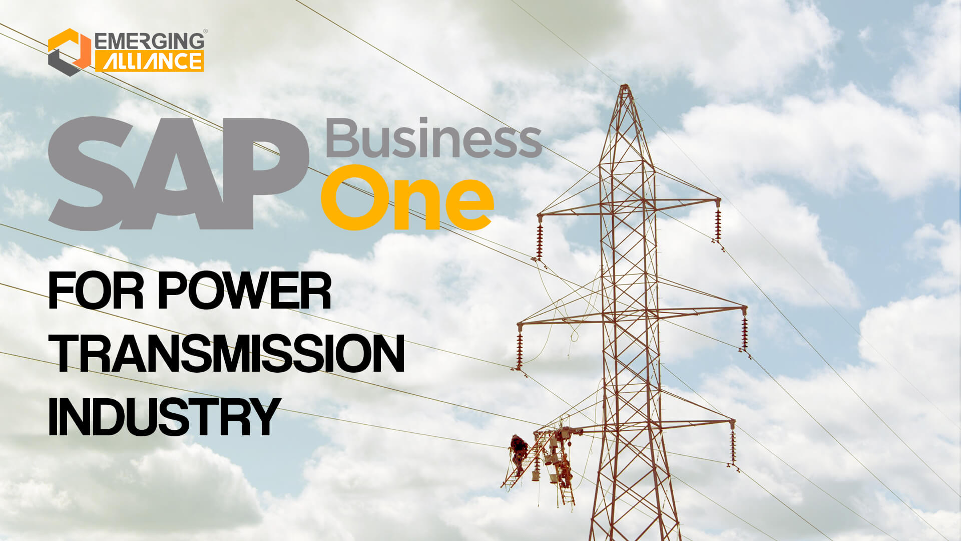 sap business one for power transmission industry