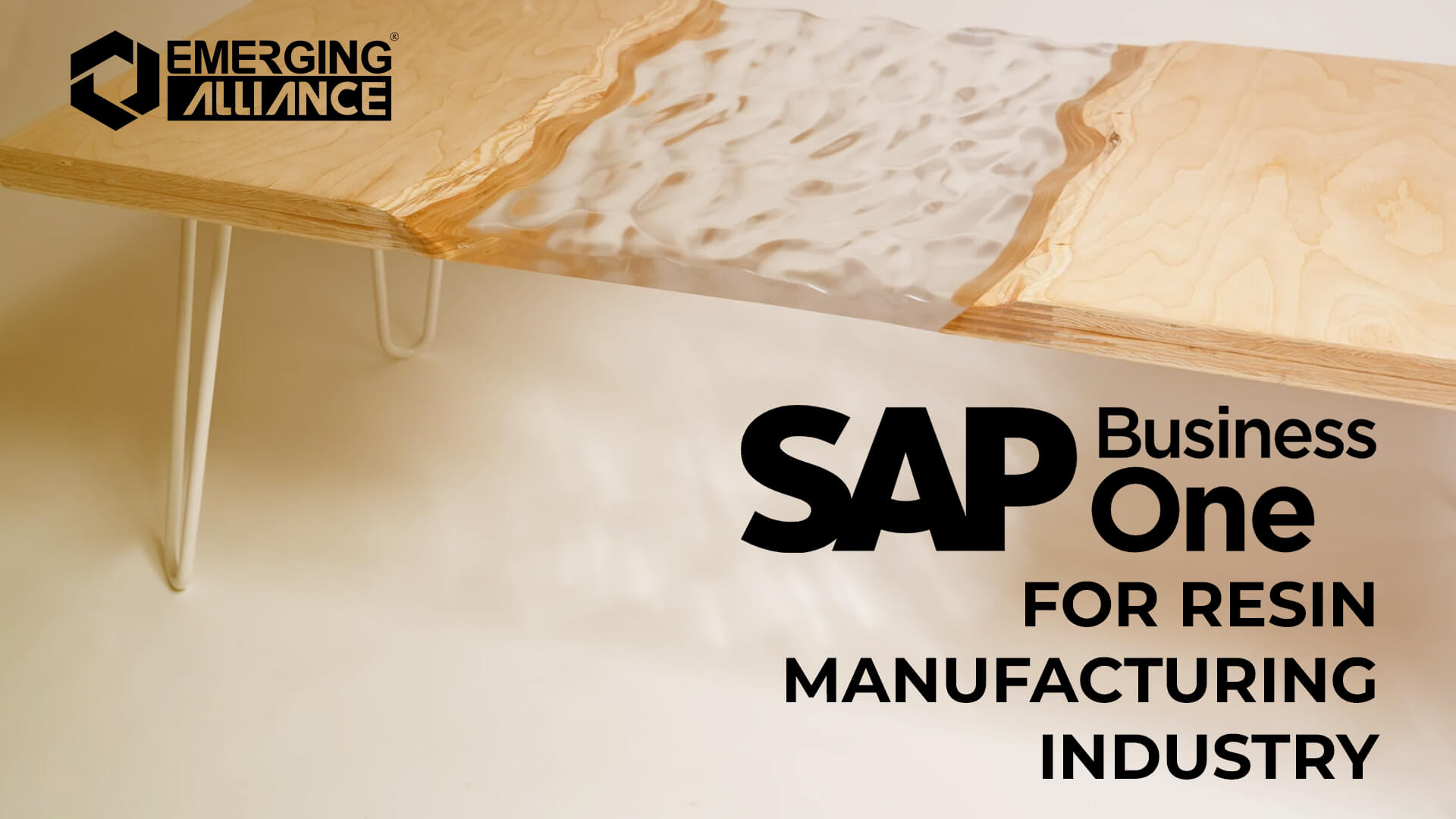 SAP Business One for resin manufacturing industry