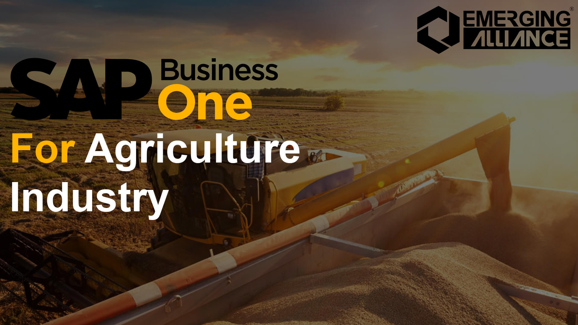 sap business one for agriculture industry