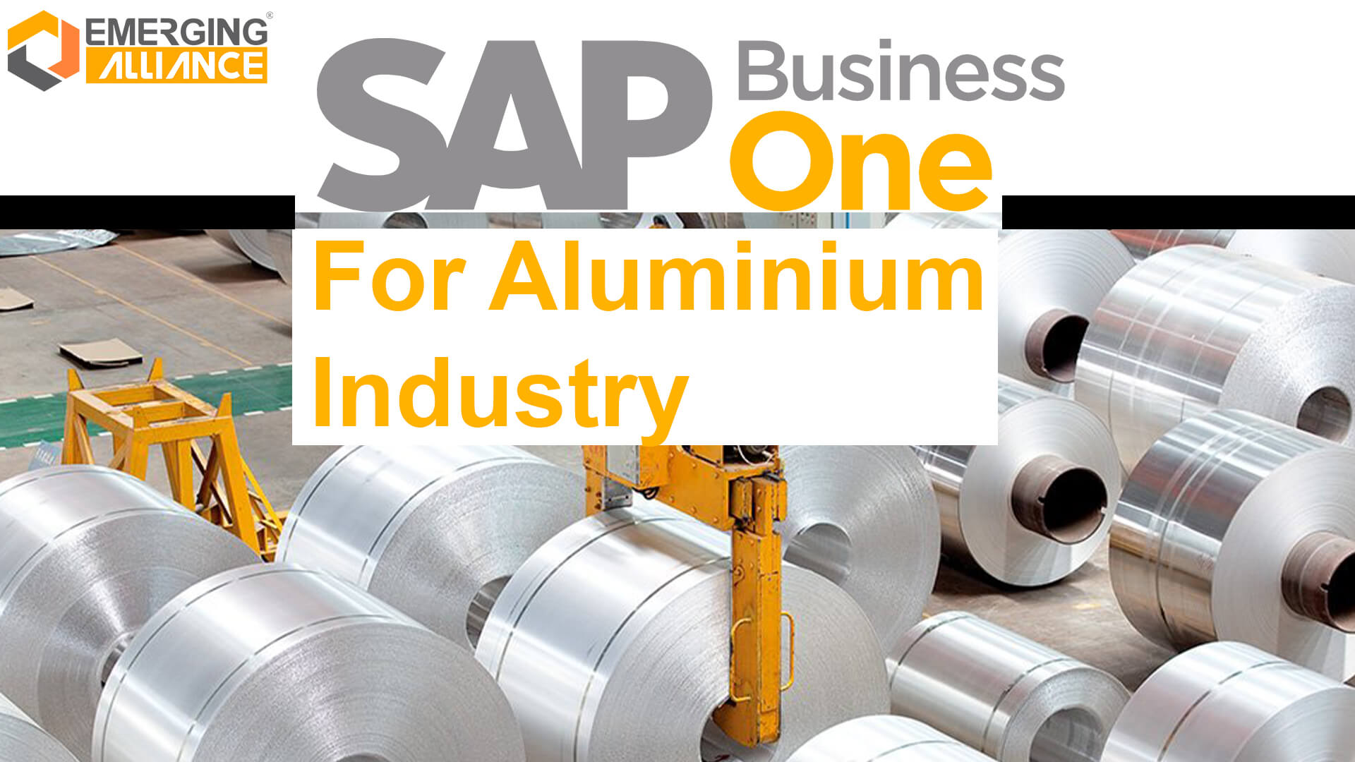 sap business one for Aluminium industry