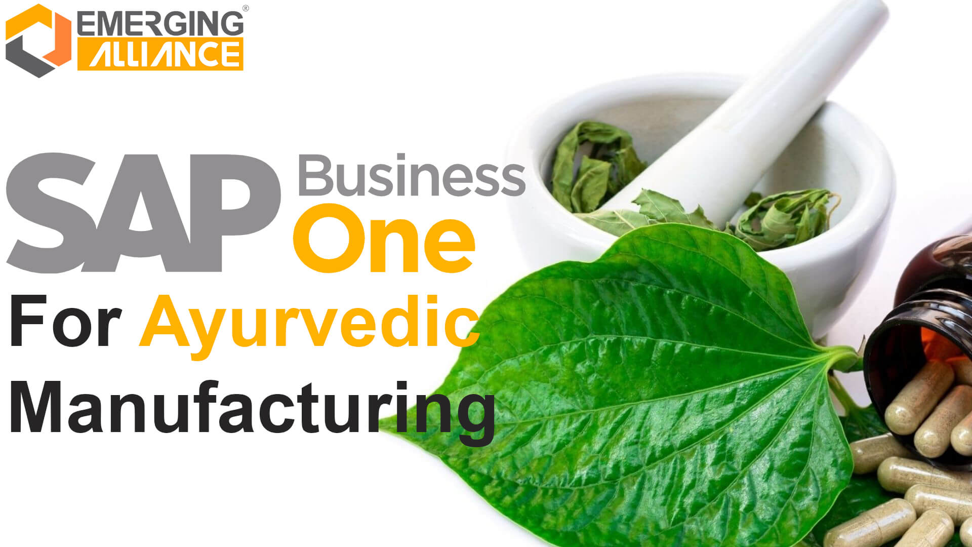 sap business one for ayurvedic manufacturing