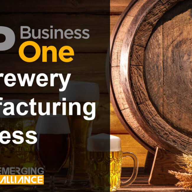 sap business one for brewery manufacturing business