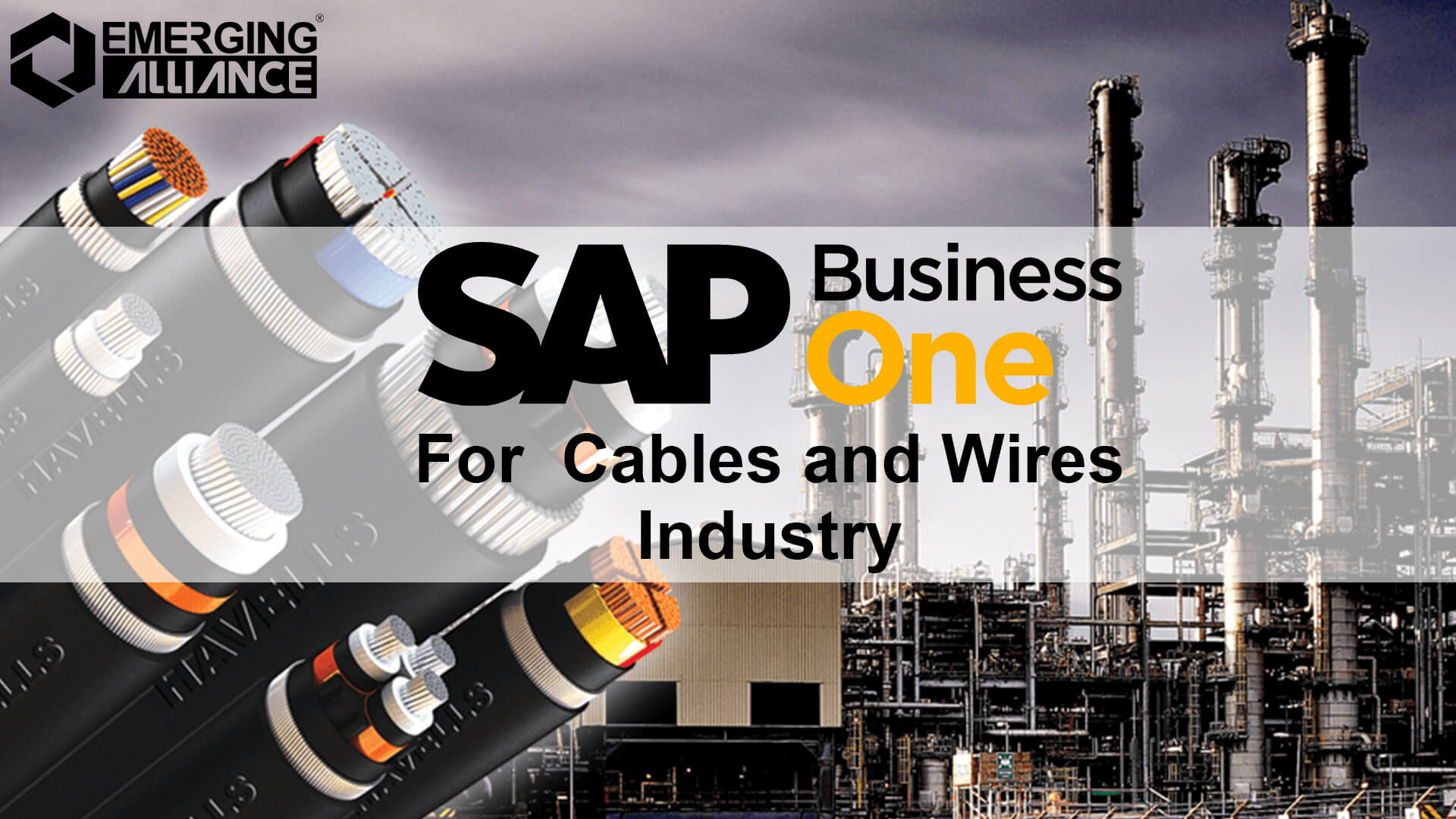 sap business one for cables and wires industry