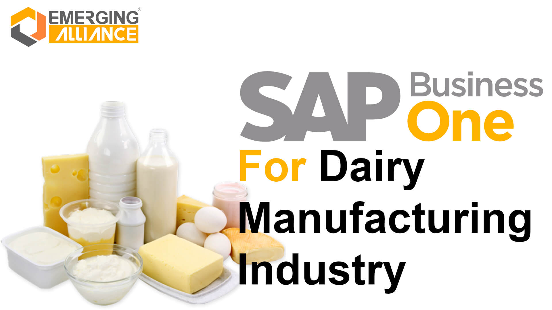 SAP Business One for diary manufacturing industry