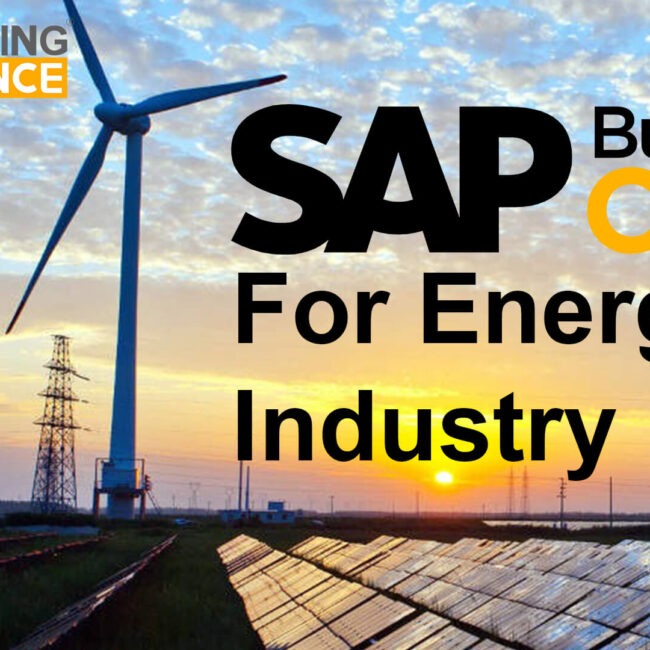 sap business one for energy industry