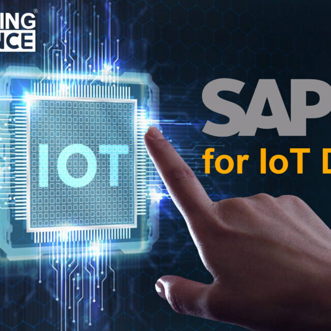 sap business one for IOT Devices