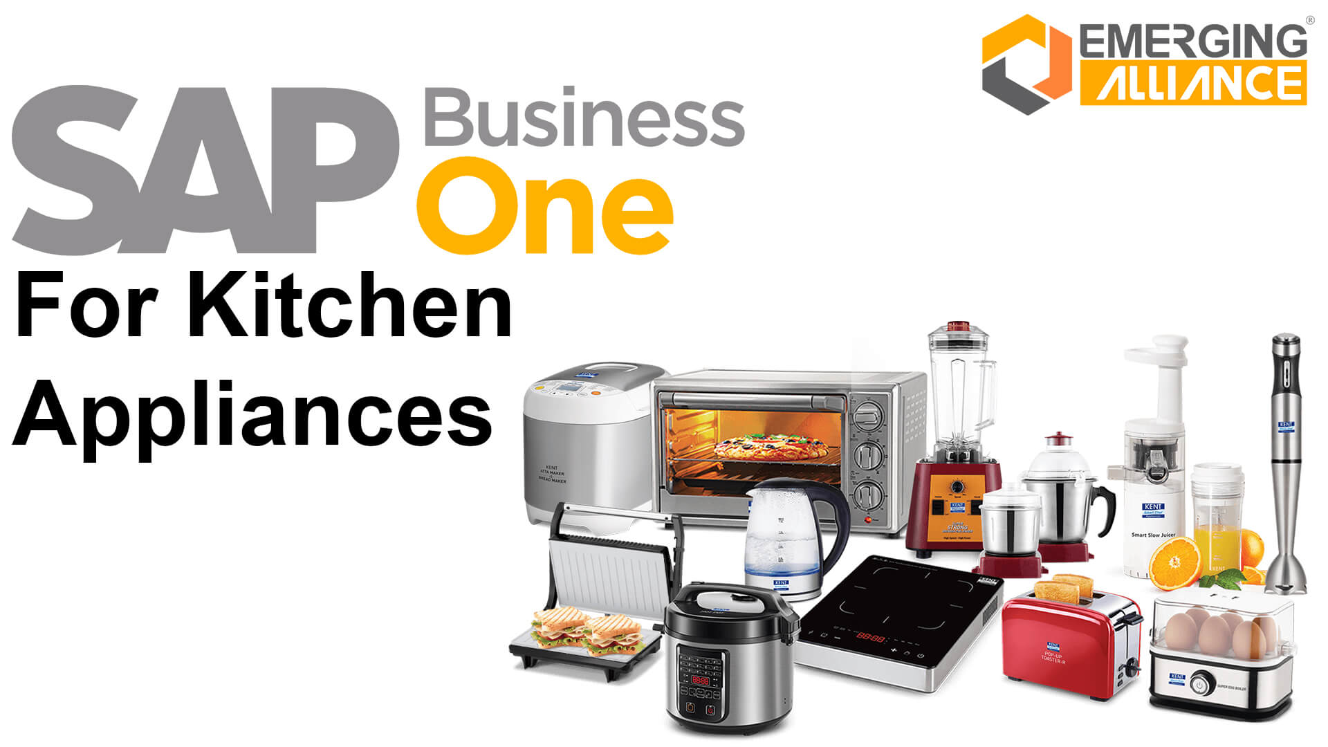 sap business one for kitchen appliances