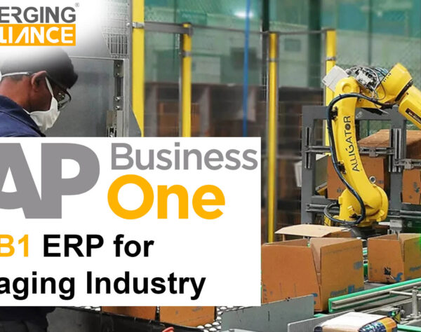 sap business one for Packaging industry