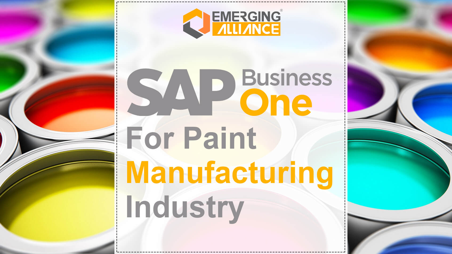 SAP Business One for paint manufacturing industry