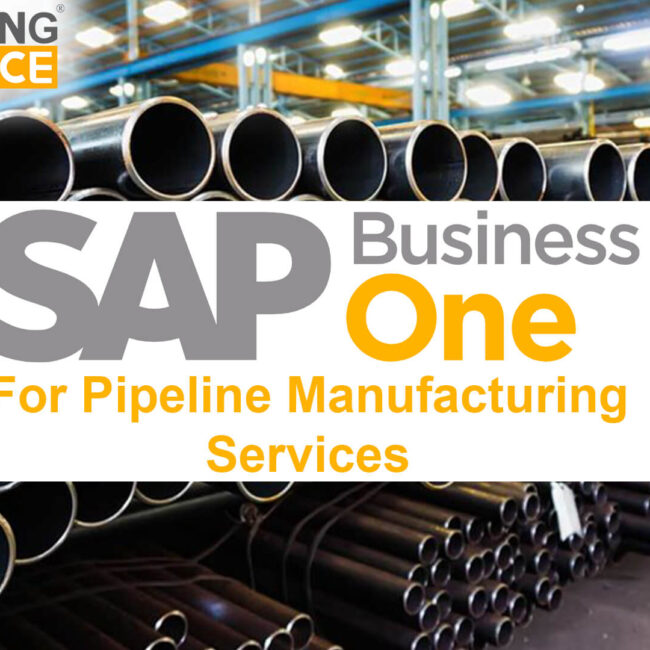 sap business one for pipeline manufacturing services