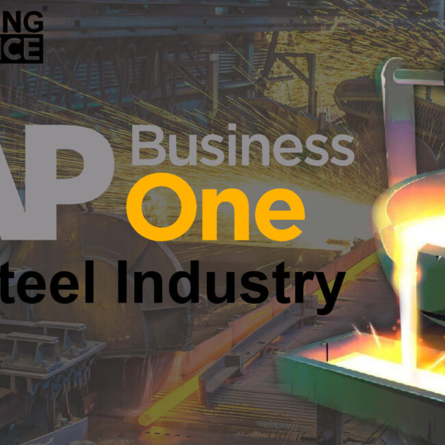 sap business one for stell industry