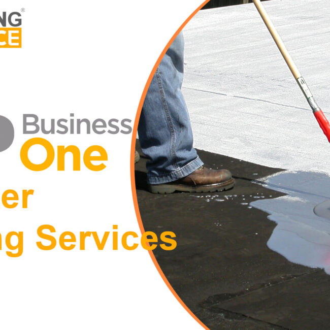 sap business one for water proofing services