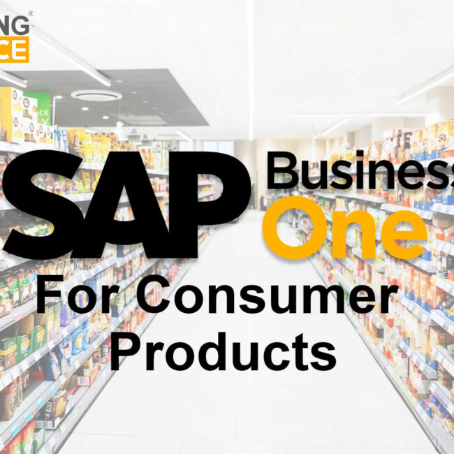 sap business one for consumer products