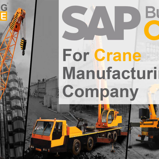 sap business one for crane manufacturing company