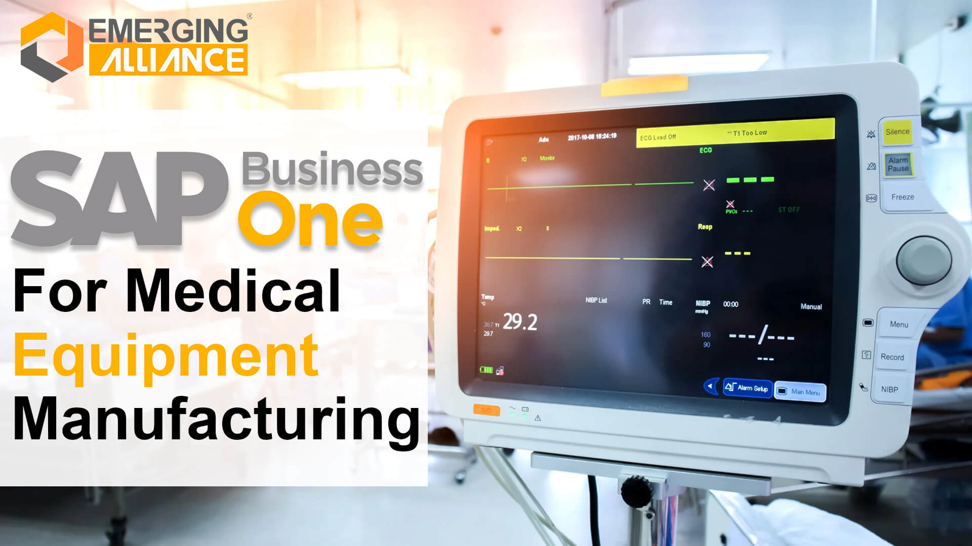 sap business one for medical equipment manufacturing