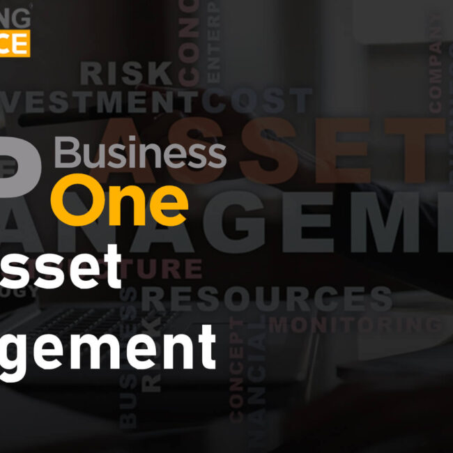 sap business one for asset management