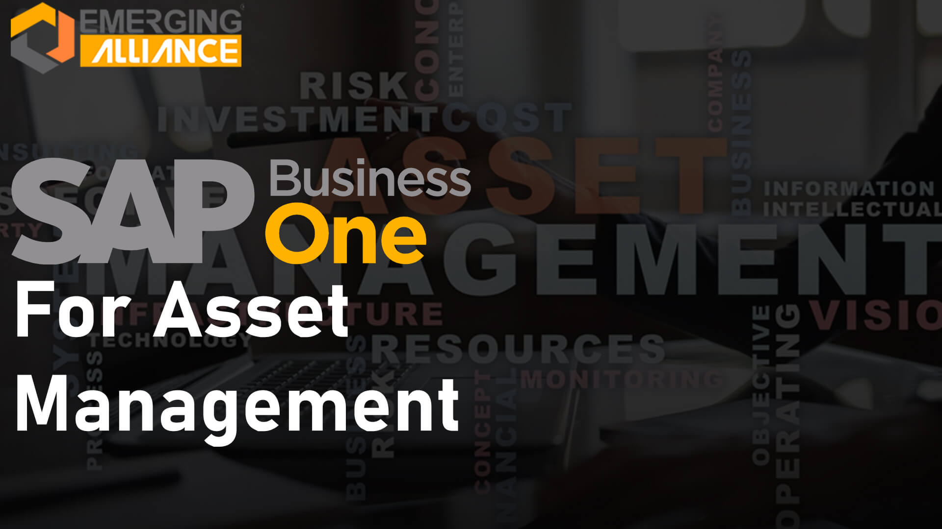 SAP Business One for asset management