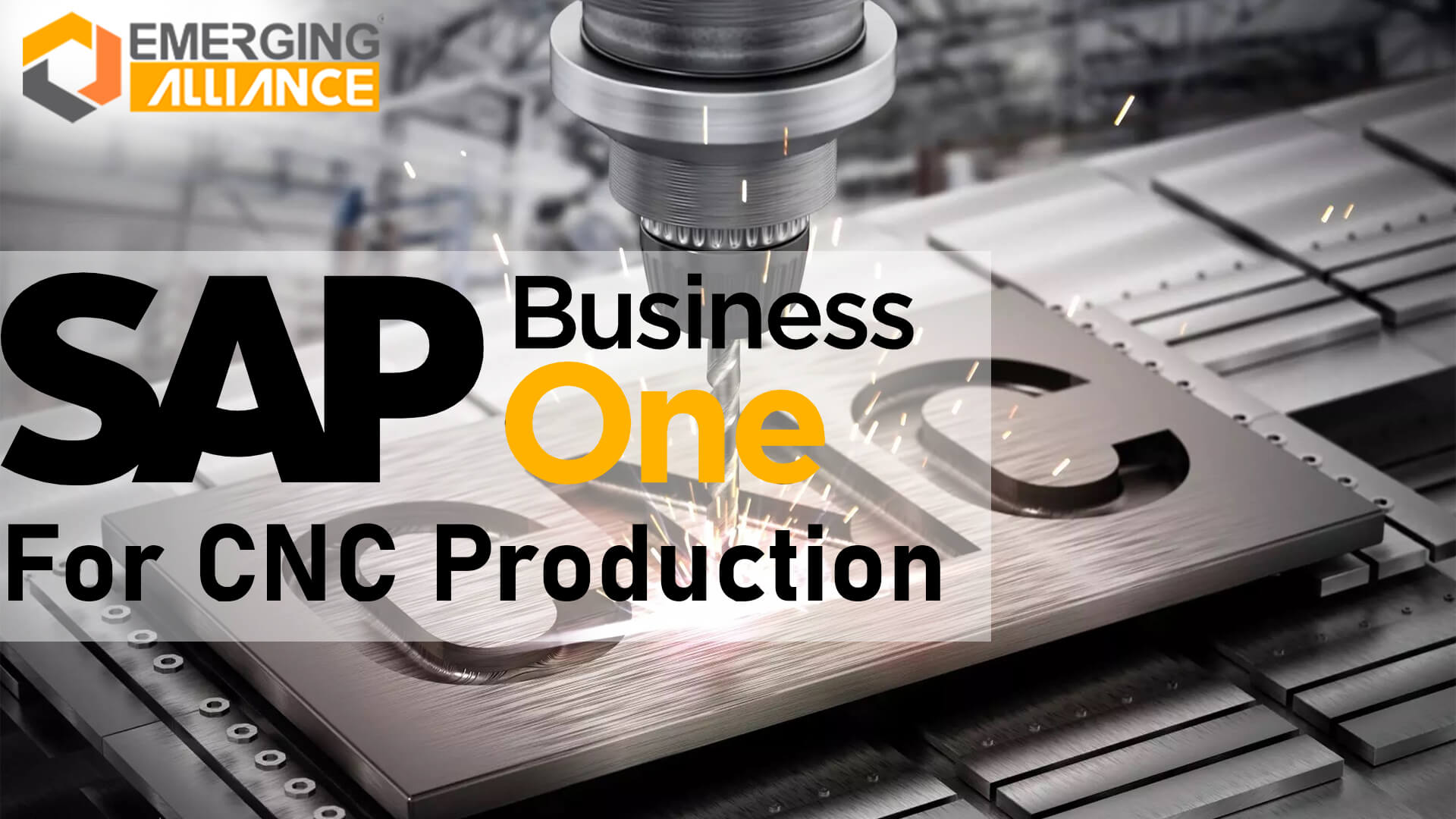 sap business one for CNC production