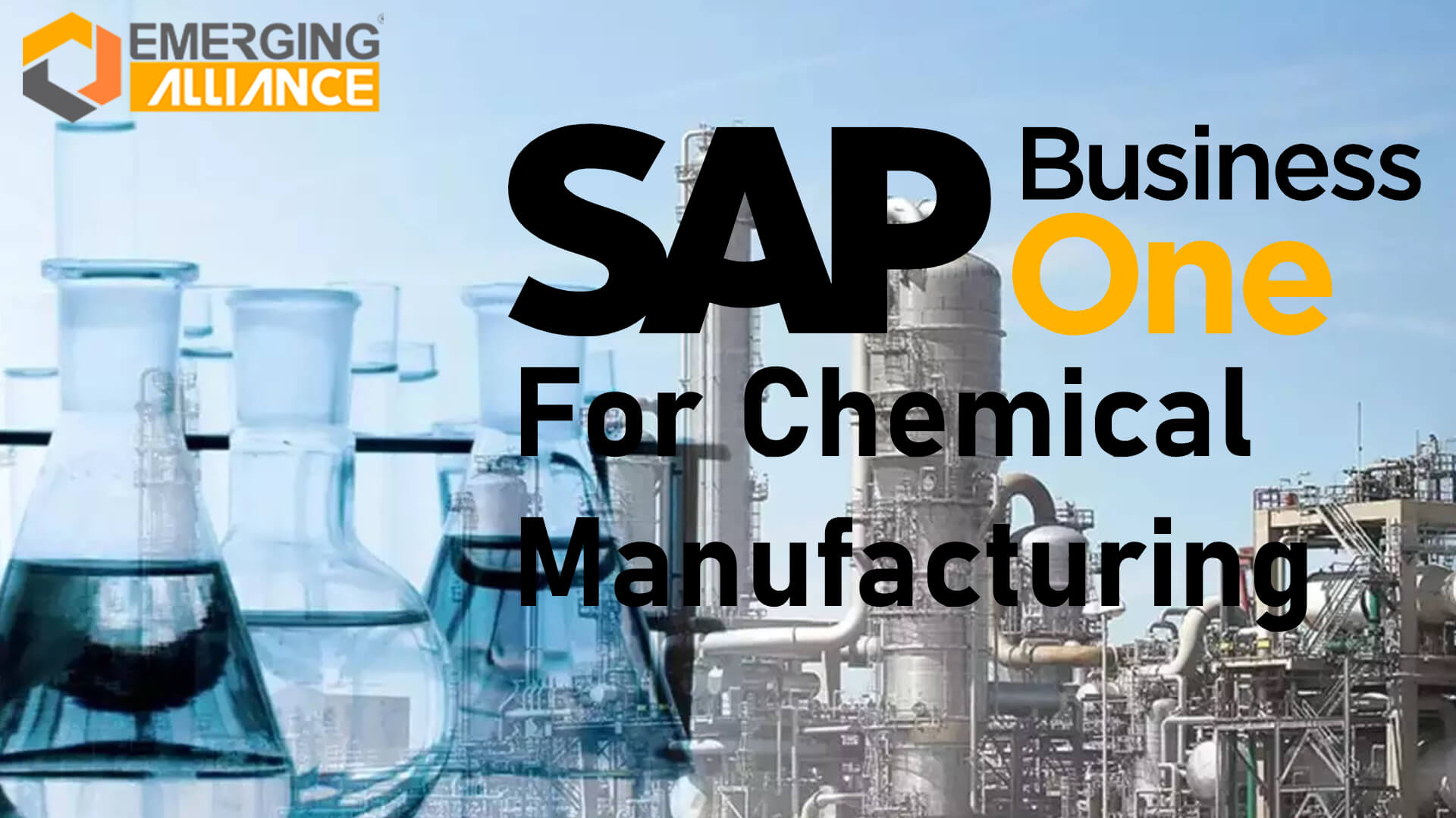 SAP Business One for chemical manufacturing