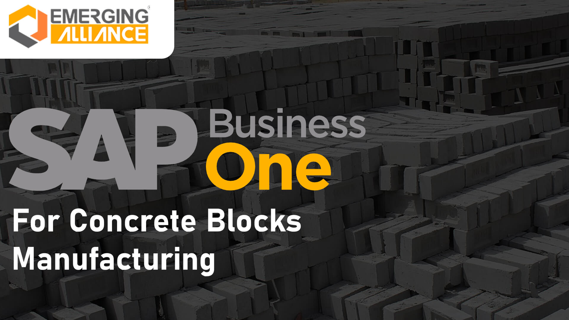 SAP Business One for concrete blocks manufacturing