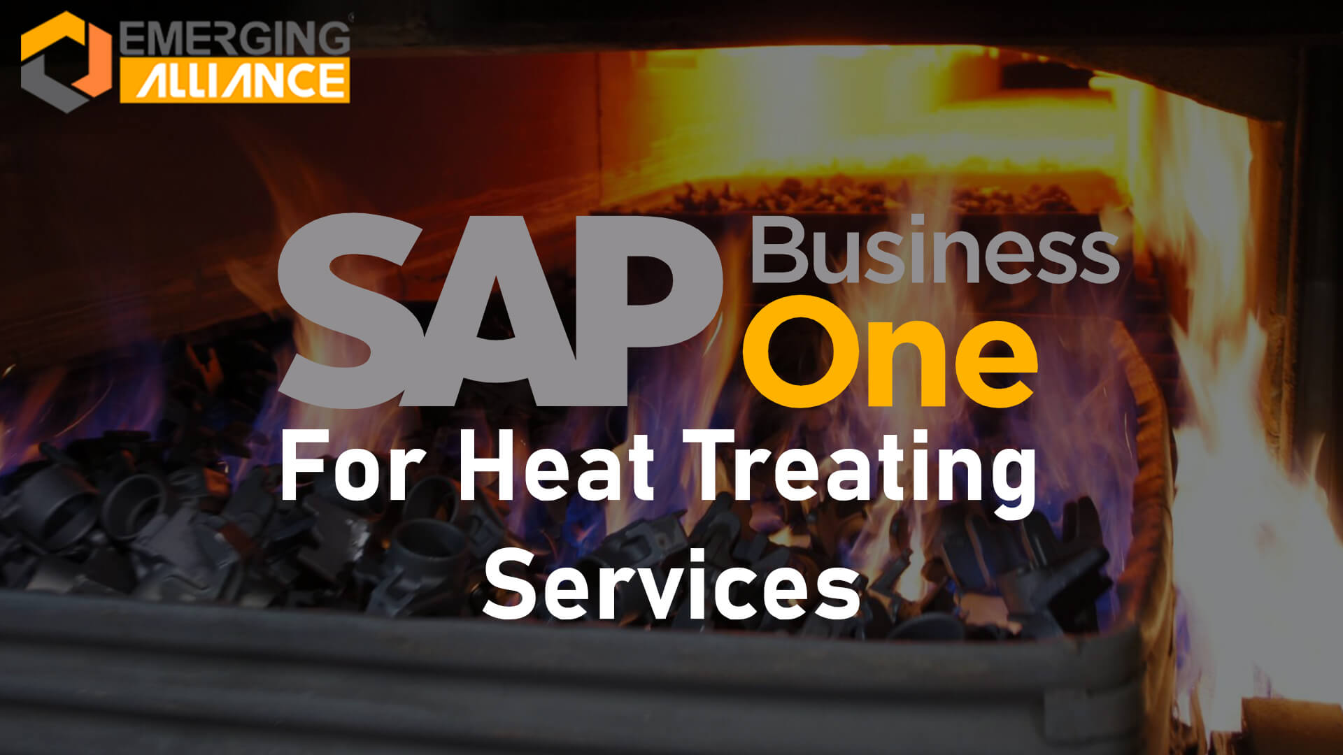 sap business one for heat treating services