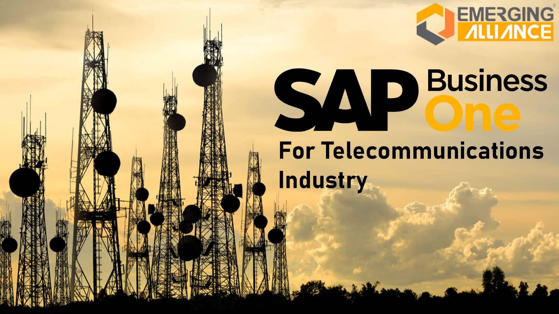 sap business one for telecommunications industry
