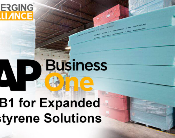 sap business one for Expanded Polystyrene Solutions