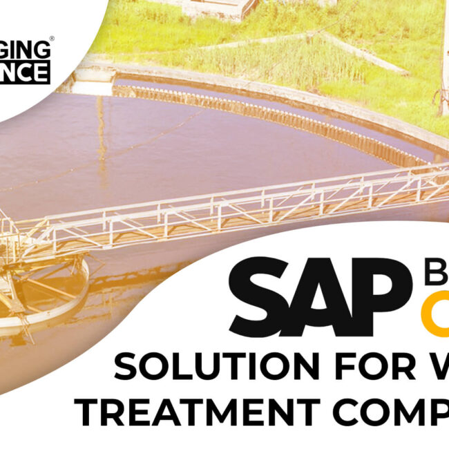 sap business one for water treatment companies