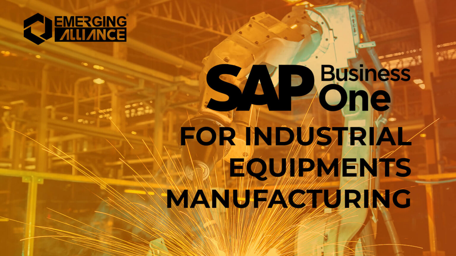 SAP Business One / SAP B1 For Industrial Equipment Manufacturing - SAP B1