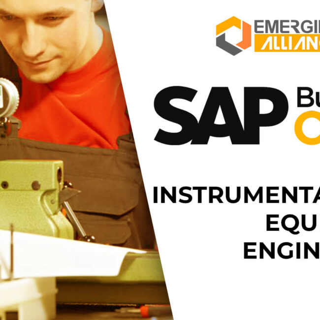 sap business one for instrumentation & equipment engineering