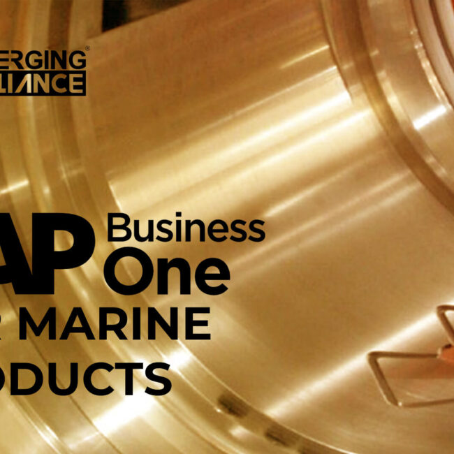 sap business one for marine products