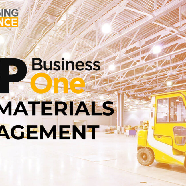 sap business one for materials management