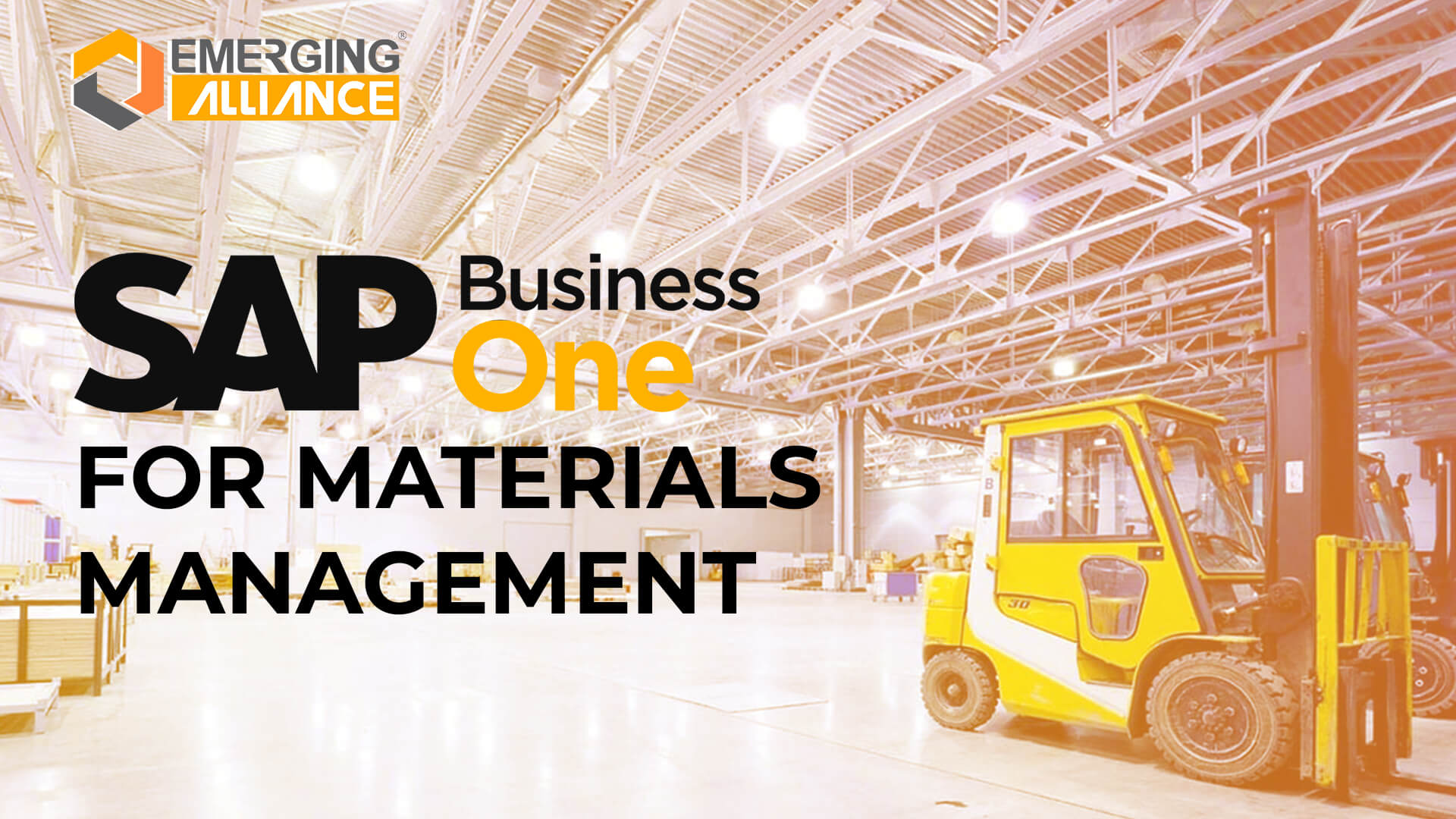 sap business one for materials management