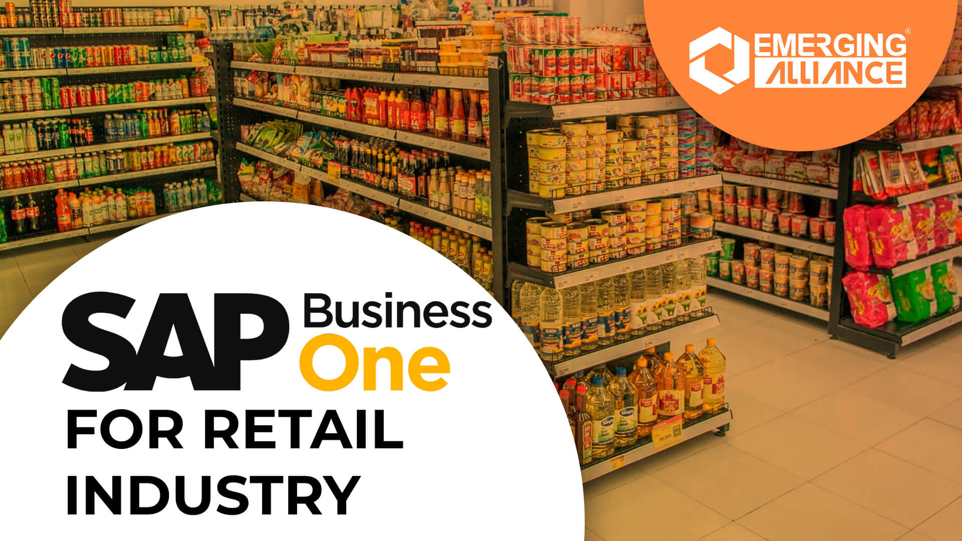 sap business one for retail industry