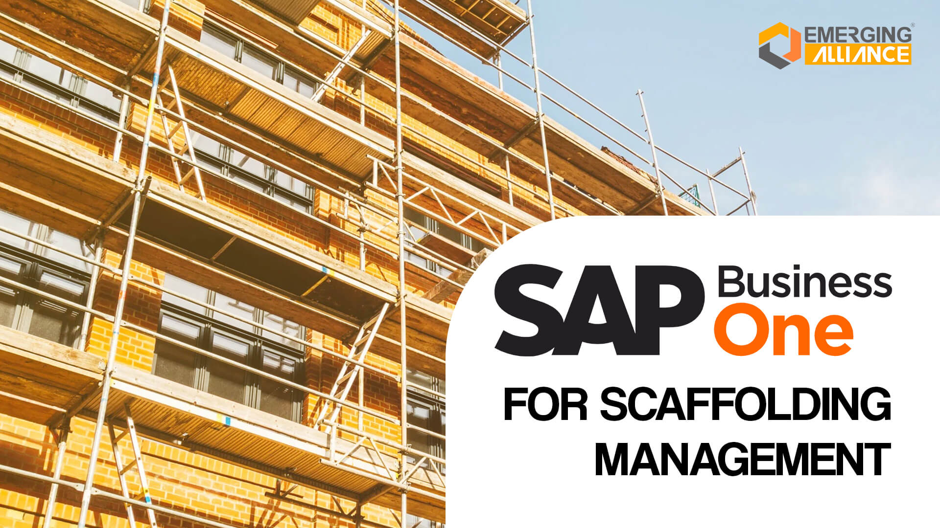 sap business one for scaffolding management