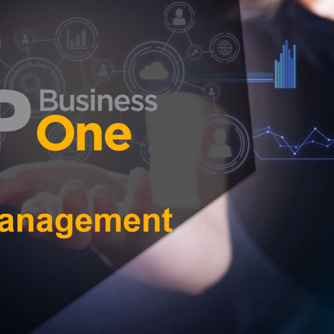 sap business one for data management