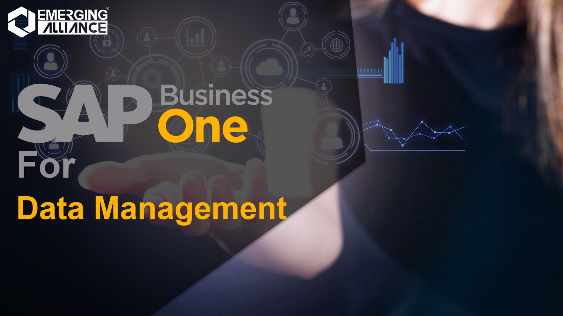 sap business one for data management